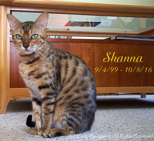 Shanna