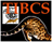 The International Bengal Cat Society